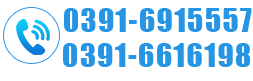 0391-3299600